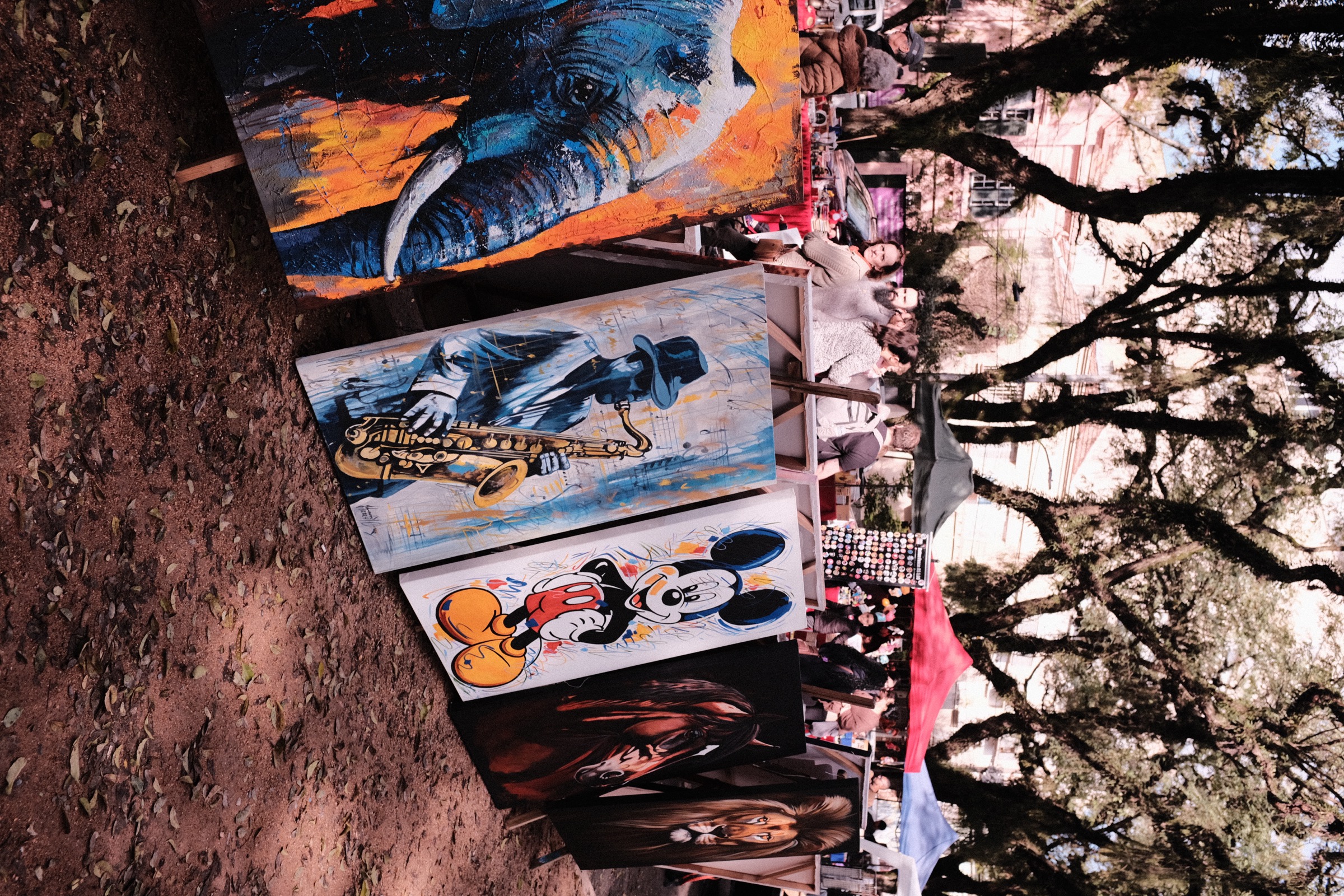 O mundo do outro lado do vidro