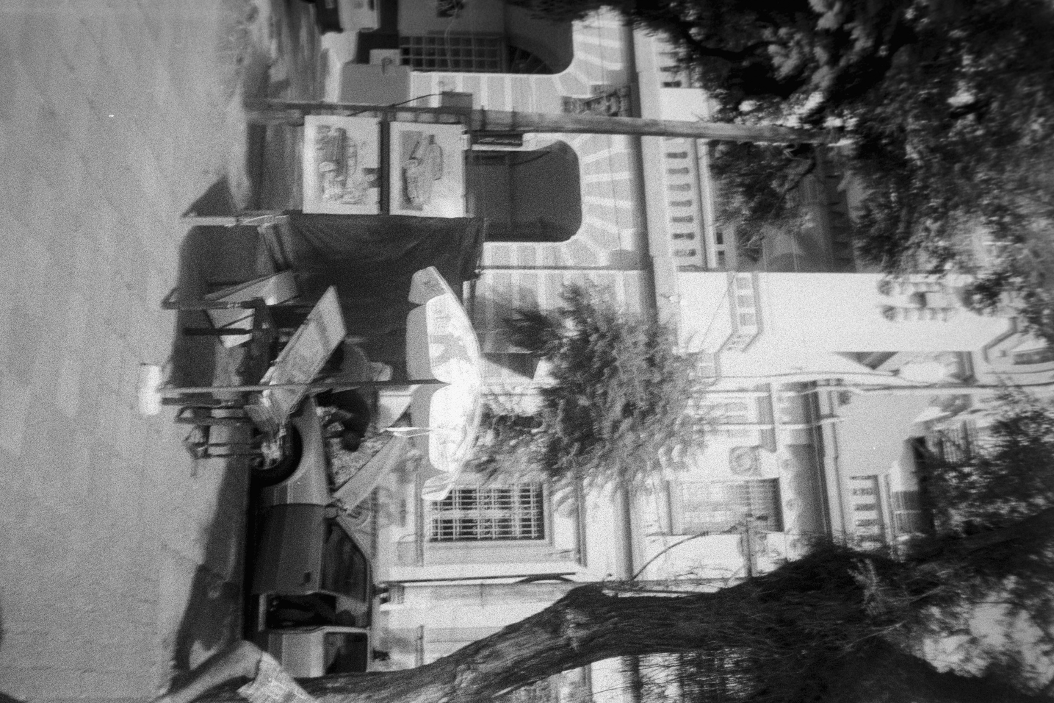 primeiro pb — foto 6